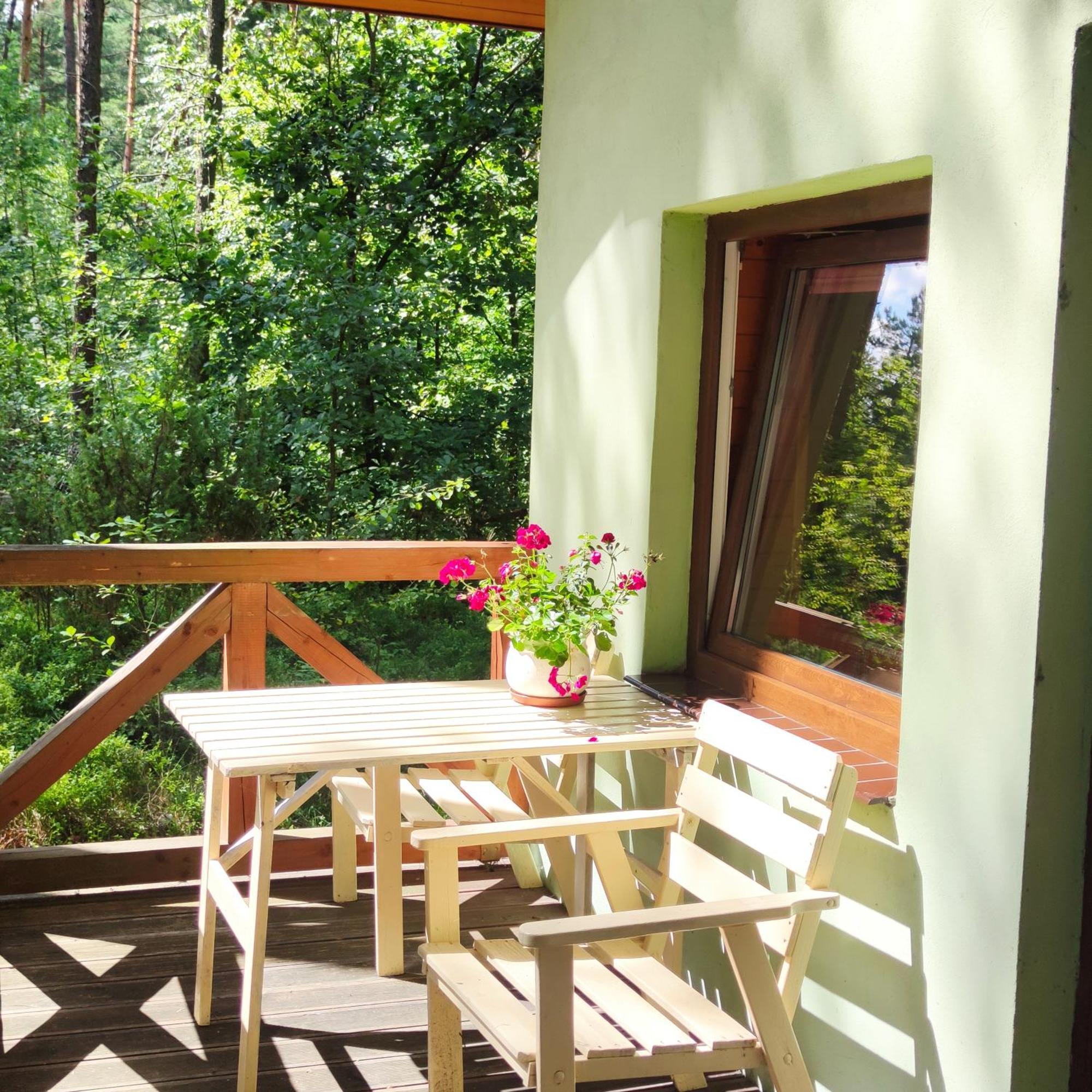 Niezapominajka-Jura Villa Niegowa Luaran gambar