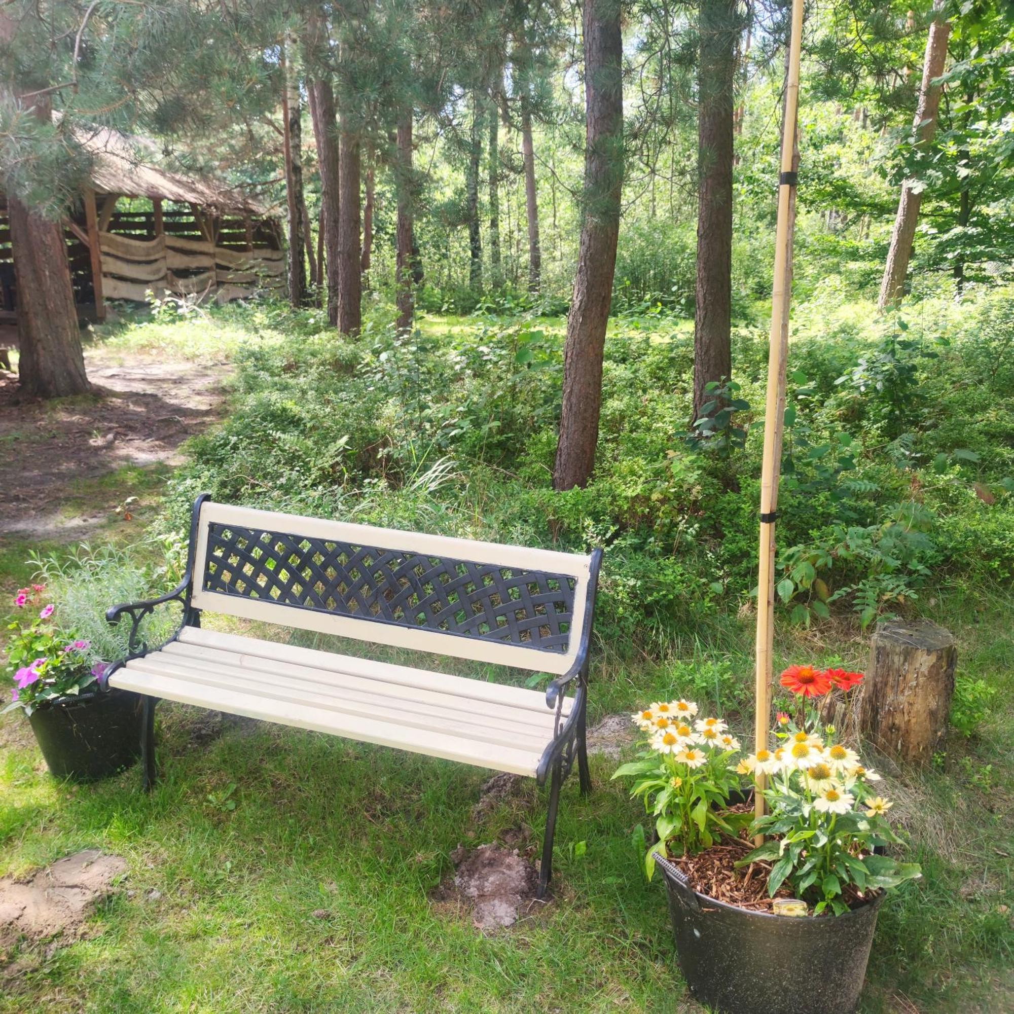 Niezapominajka-Jura Villa Niegowa Luaran gambar